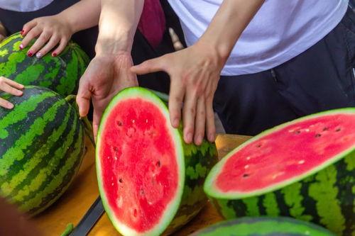 今日吃瓜免费入口,畅享热门资讯盛宴  第3张