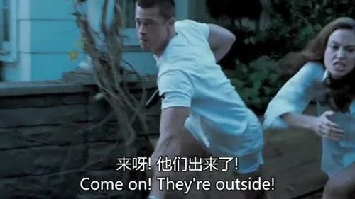 夫妻杀手在线观看八哥,八哥视角下的悬疑爱情悲剧 第3张 夫妻杀手在线观看八哥,八哥视角下的悬疑爱情悲剧 第3张